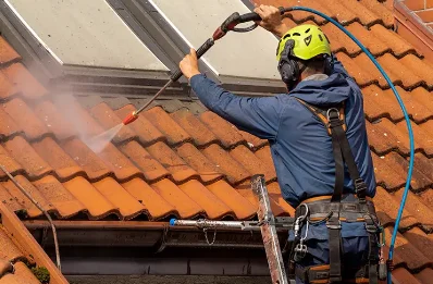 Démoussage et hydrofuge de toiture à Champagnier